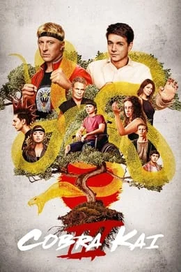 Cobra Kai - Staffel 3