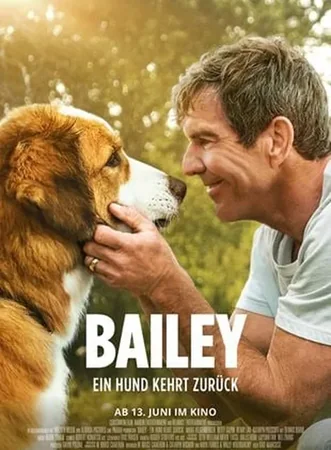 Bailey - Ein Hund kehrt zurück